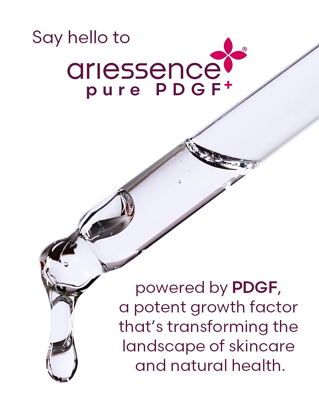 Pure PDGF in Northborough, MA